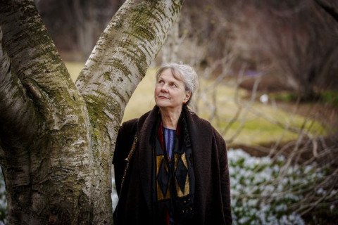 Valgerður H. Bjarnadóttir