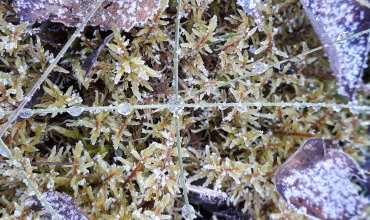 Handleiðsla og ráðgjöf